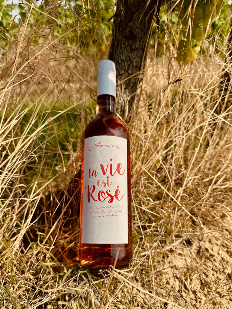 Janson La Vie est Rosé Feinherb an einer Weinrebe lehnend