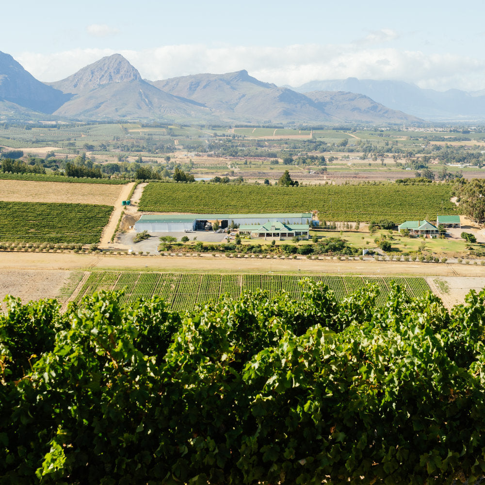 Blick auf die Weinberge und das Weingut von Imbuko mit Bergen im Hintergrund