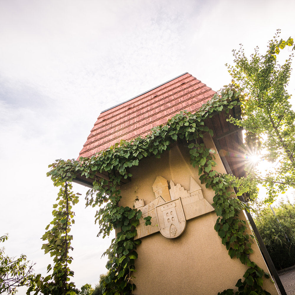 Blick auf mit Wein bewachsenen Turm von den Ruppertsberger Weinkeller