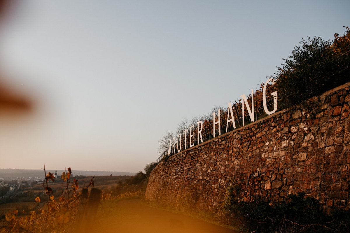 Blick auf die Weinberge am Roten Hang vom Weingut Eimermann in Rheinhessen