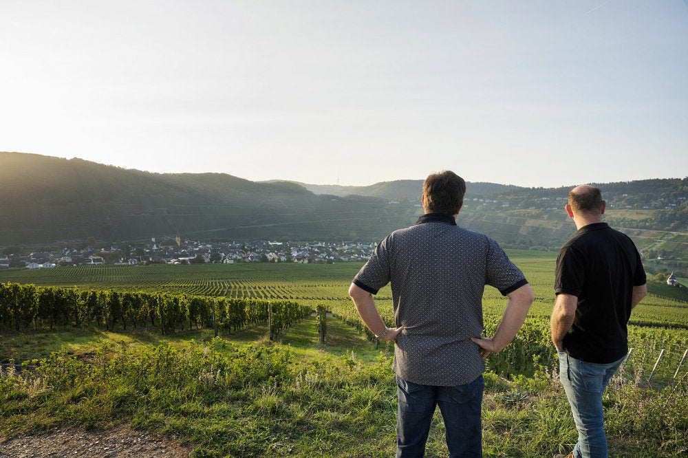 Kategoriebild Weinhaus Gebrüder Steffen mit Blick auf die Weinberge