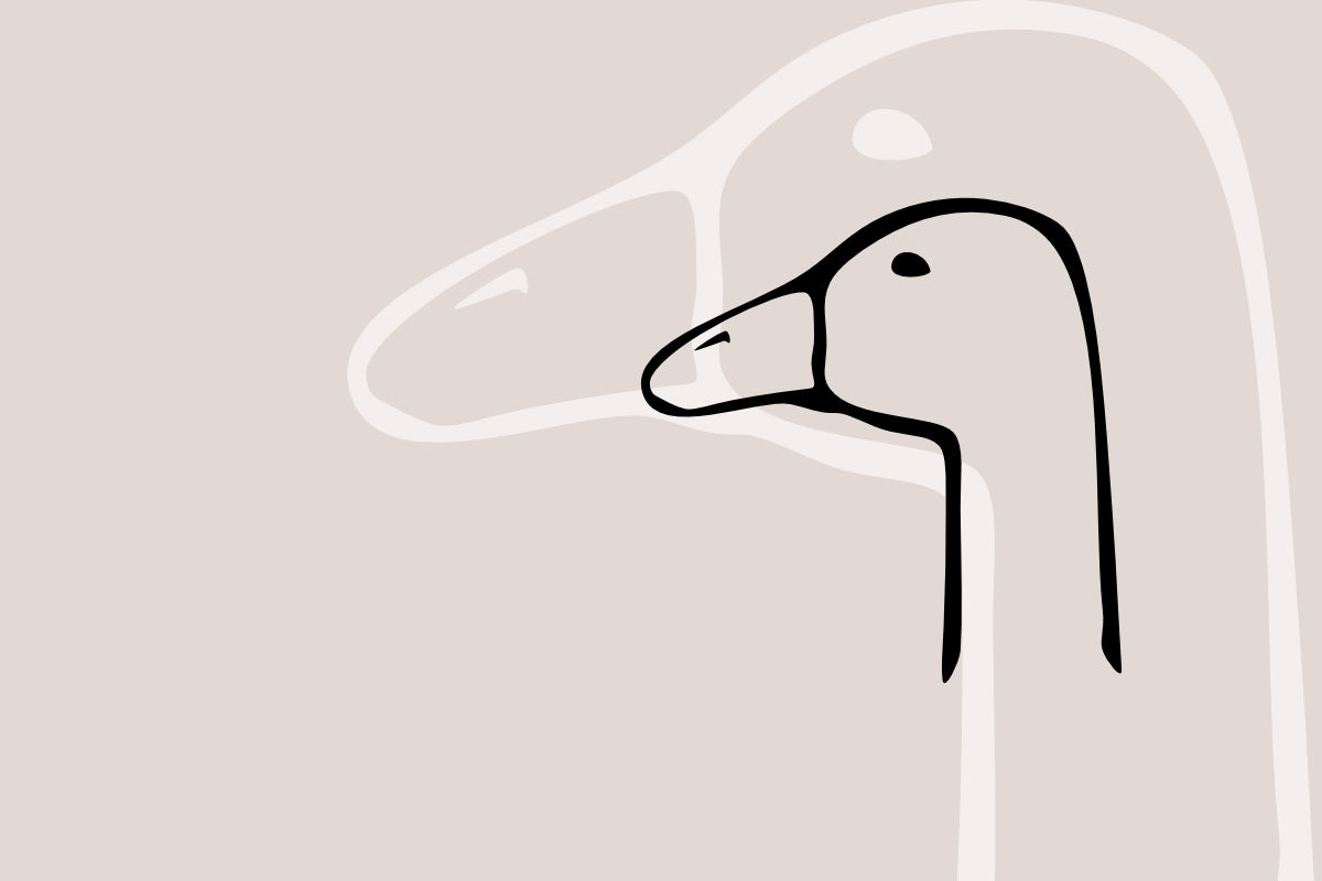 Gans Gänsekopf-Illustration