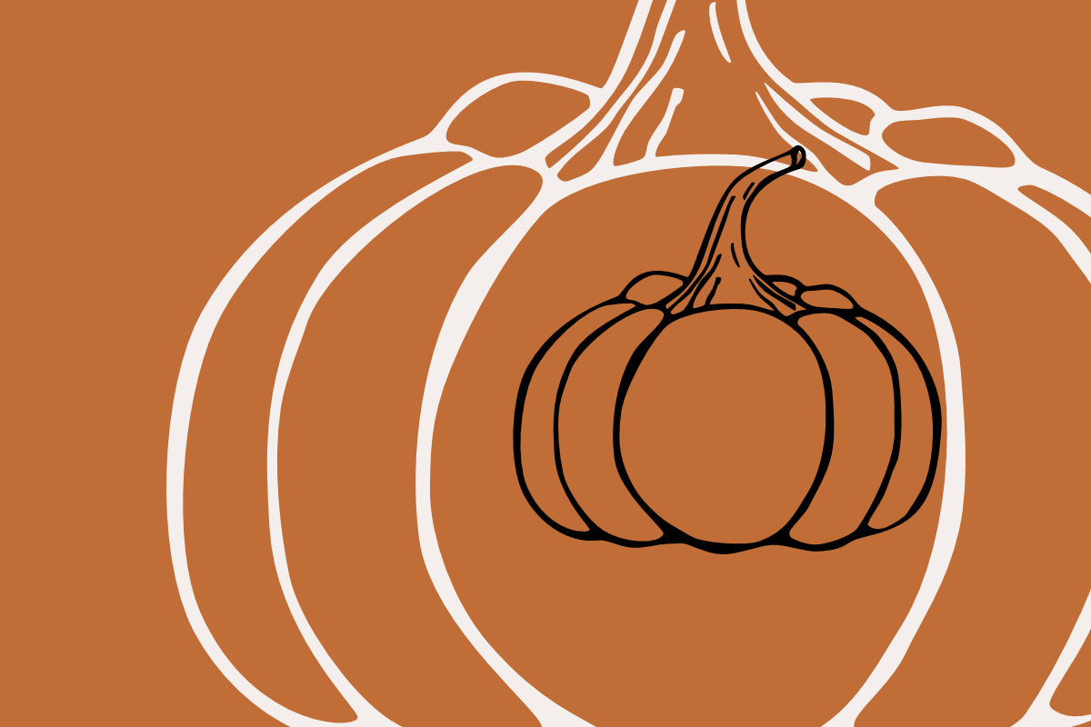 stilisierter Kürbis als Kategoriebild für Wein zu Kürbis