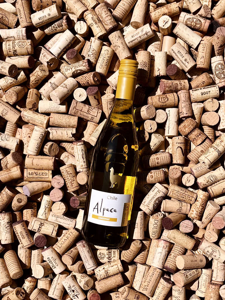 Weinladen – Chardonnay Mein Alpaca 0,75l | D.O. Weißwein
