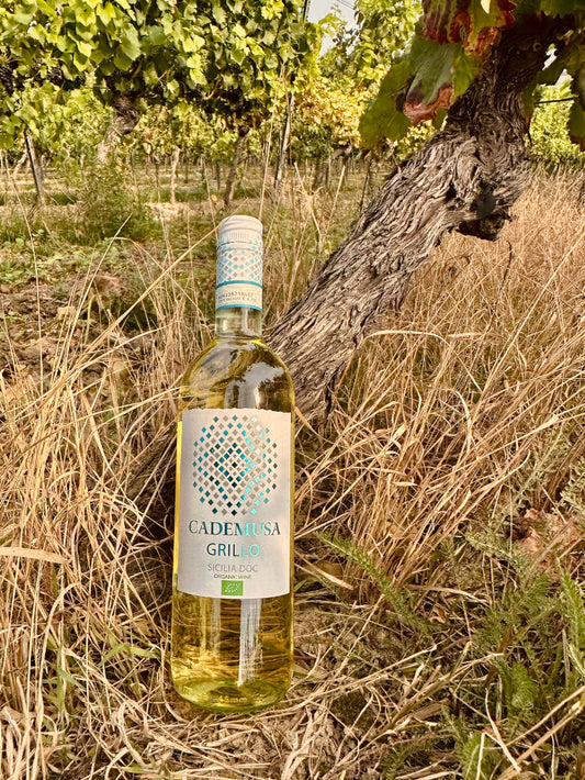 Cademusa Grillo Sicilia DOC