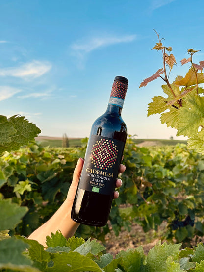 Cademusa Nero D'Avola Syrah Rotwein umgeben von Weinreben im Weinberg