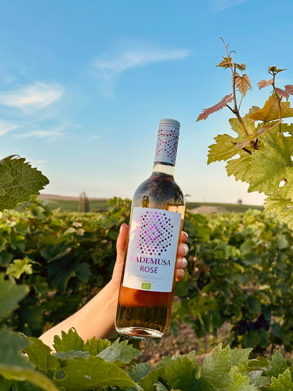 Cademusa Nero D'Avola Roséwein umgeben von Weinreben im Weinberg