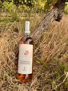 Terre di Castelnuovo Chiaretto Bardolino DOC