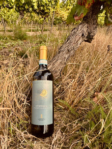 Terre di Castelnuovo Custoza DOC