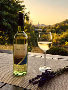 Dr Zenzen Bacchus Weißwein Mild Bild 1
