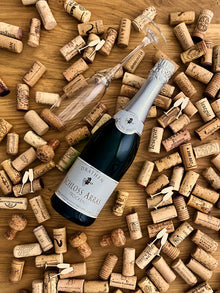 Drathen Schloss Arras Sekt trocken Bild 1