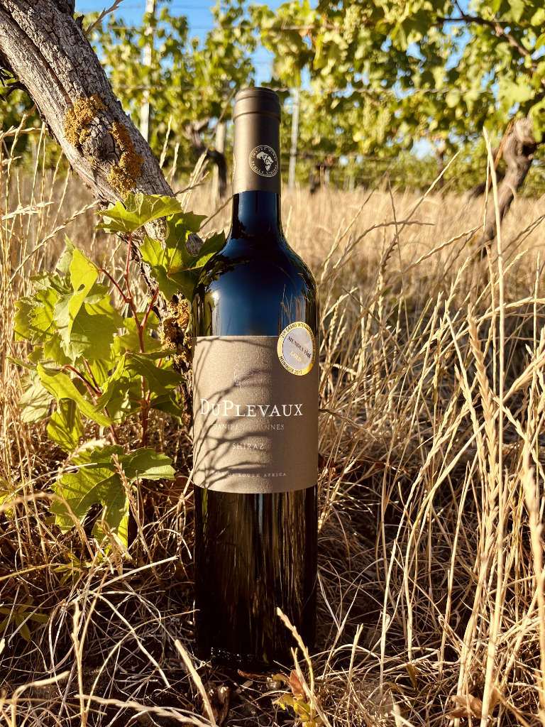 DuPlevaux Shiraz Rotwein Trocken Bild 1