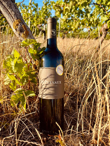 DuPlevaux Shiraz Rotwein Trocken Bild 1