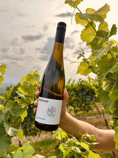 Eimermann Sauvignon Blanc umgeben von Weinreben im Weinberg