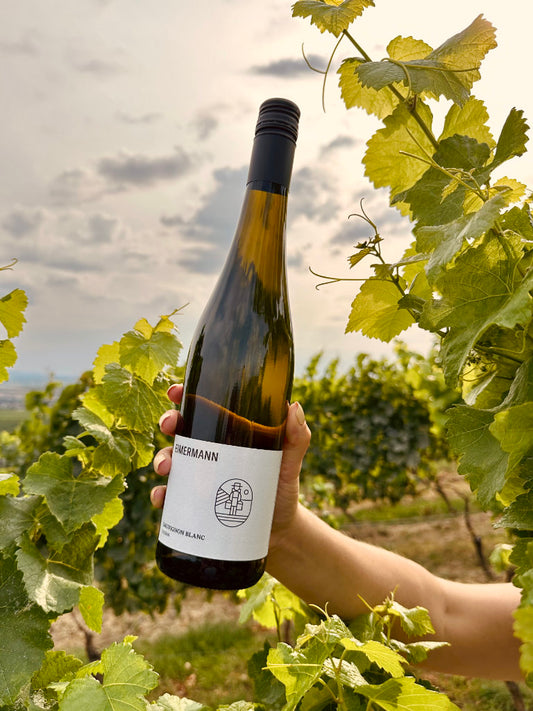 Eimermann Sauvignon Blanc umgeben von Weinreben im Weinberg