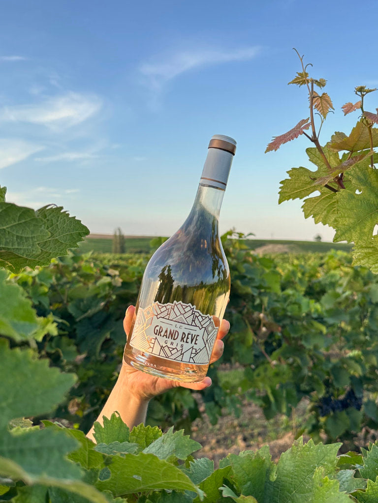 Le Grand Reve Reserve Gris Rosé umgeben von Weinreben im Weinberg