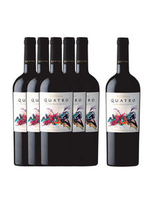 6 Flaschen MontGras Quatro als Weinpaket 