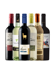 Weinpaket 6 Flaschen chilenische Weine Mein-Weinladen