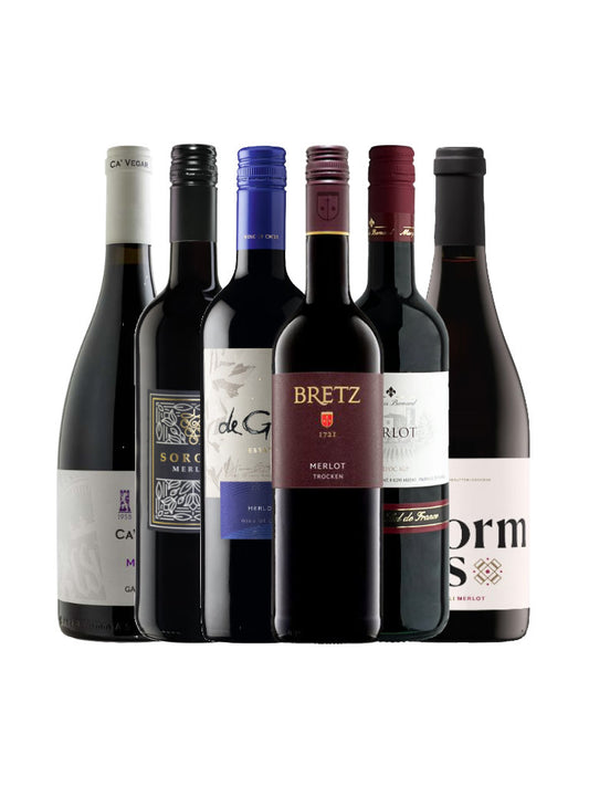 6er Weinpaket "Merlot"