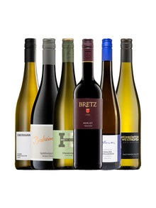 6er Weinpaket Rheinhessen Flaschenabbildungen