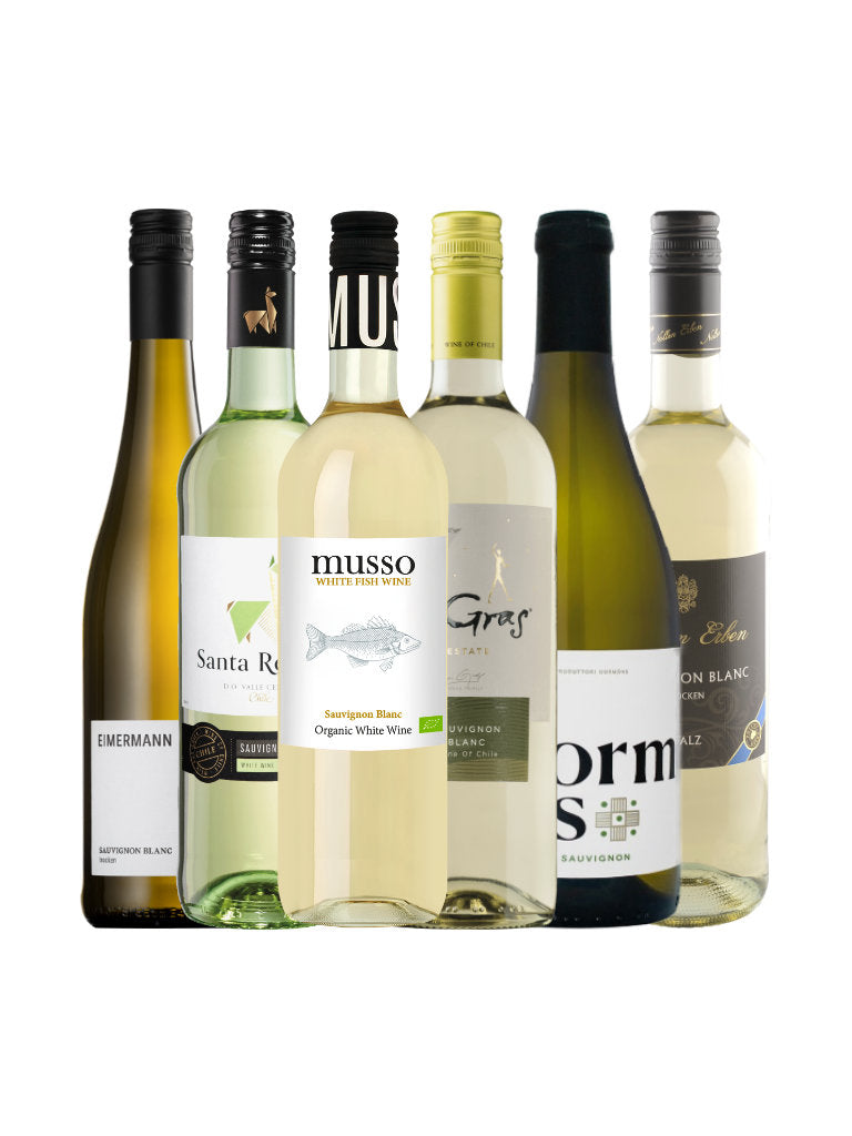 6 Flaschen Sauvignon Blanc als Weinpaket