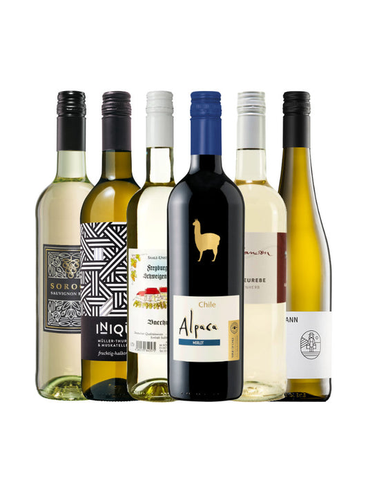 6er Weinpaket Wein zu Asiatischer Küche Flaschenabbildung