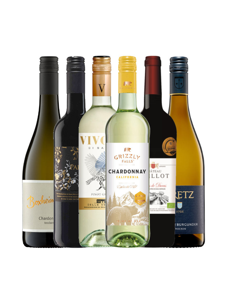 6er Weinpaket Wein zu Kürbis Flaschenabbildung