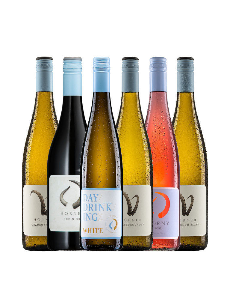 6er Weinpaket Weingut Hörner Pfalz Flaschenabbildung