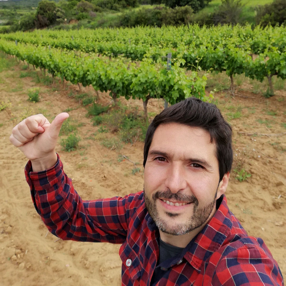 Winzer vom Bodegas San Martin vor seinen Weinreben