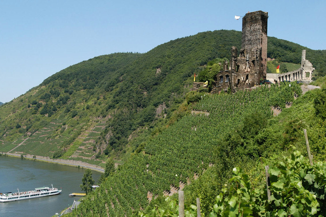 Blick auf Steillagen mit Weinanbau und Burgruine an der Mosel als Bild für Einig-Zenzen Wein- und Sektkellerei