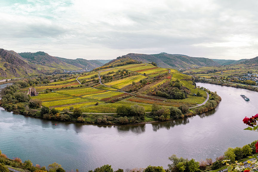 Josef Drathen Blick auf die Weinberge an der Mosel