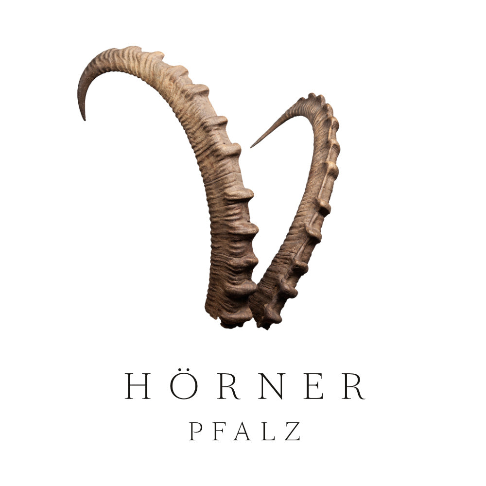Logo Weingut Hörner Pfalz
