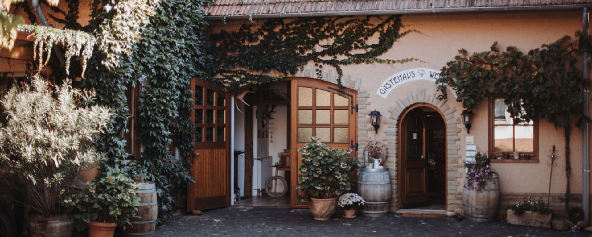 Weingut Janson Vendersheim Blick auf das Gästehaus