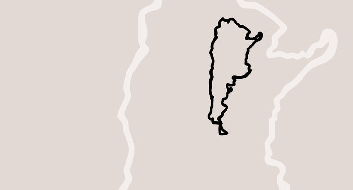 Stilisierte Argentinienkarte als Kategoriebild für argentinische Weine