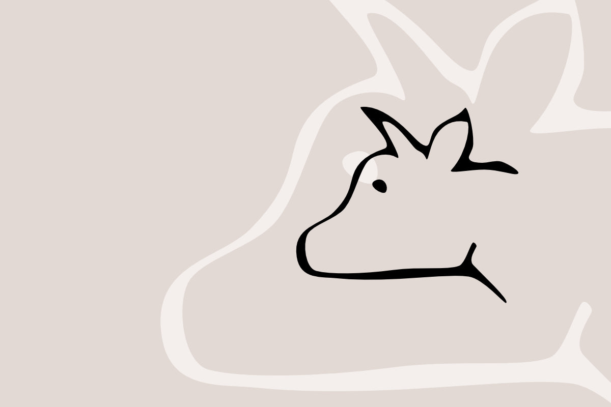Kategoriebild Rinderkopf Illustration