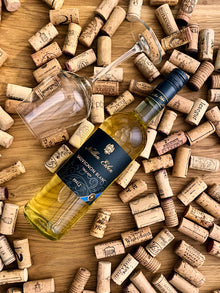 Nollen Erben Sauvignon Blanc Weißwein Pfalz Bild 1