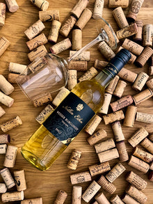 Nollen Erben Weisser Burgunder Weißwein Trocken Pfalz Bild1