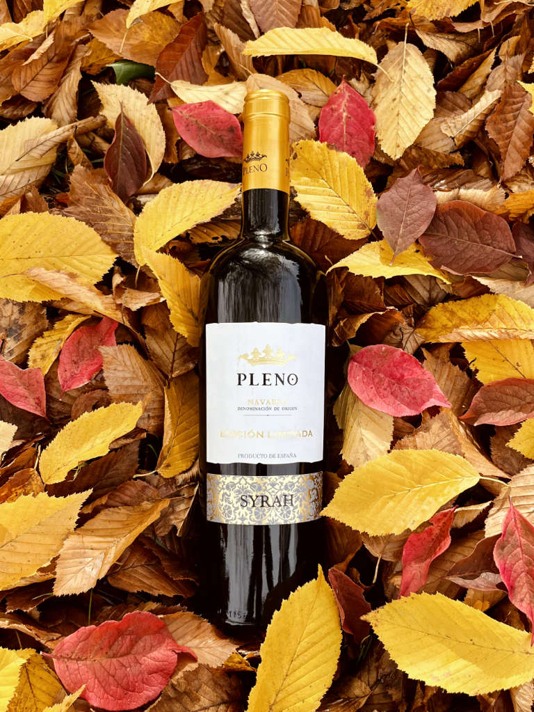 Pleno Syrah Edicion Limitada Rotwein Trocken Bild 1