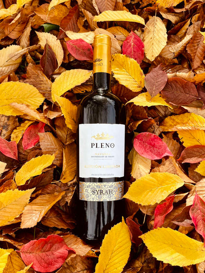 Pleno Syrah Edicion Limitada Rotwein Trocken Bild 1