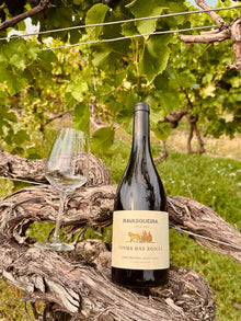 Ravasqueira Vinha das Romãs Tinto