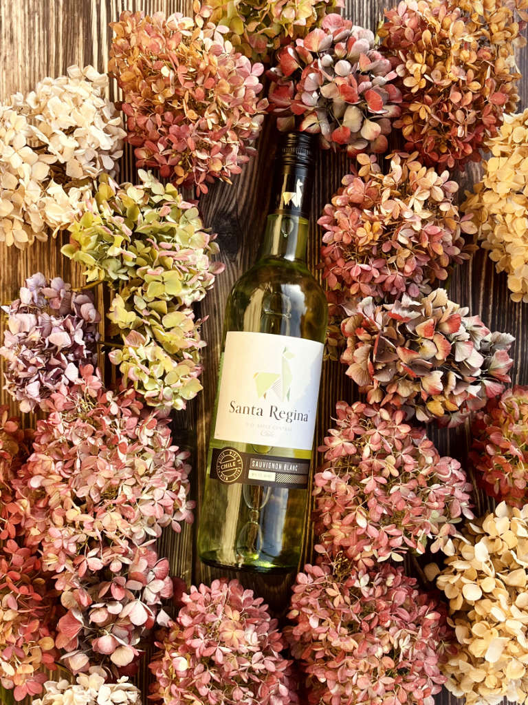 Santa Regina Sauvignon Blanc Alpaka Weißwein Trocken Bild 1