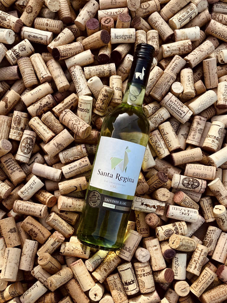 Santa Regina Sauvignon Blanc Alpaka Weißwein Trocken Bild 2