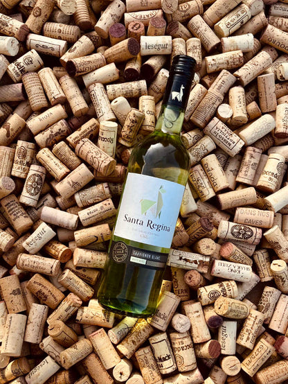 Santa Regina Sauvignon Blanc Alpaka Weißwein Trocken Bild 2