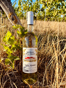Schulze Bad Kösener Schöne Aussicht Müller-Thurgau Weißwein Trocken Bild 1