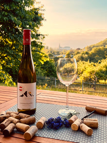 Sonnengold Goldmuskateller Weißwein trocken Burgenland Österreich Bild 1