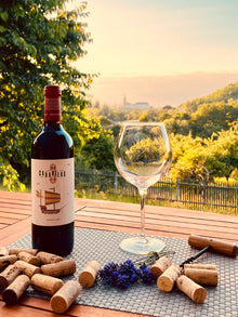 Tres Carabelas La Pinta Tinto Rotwein Trocken Bild 1