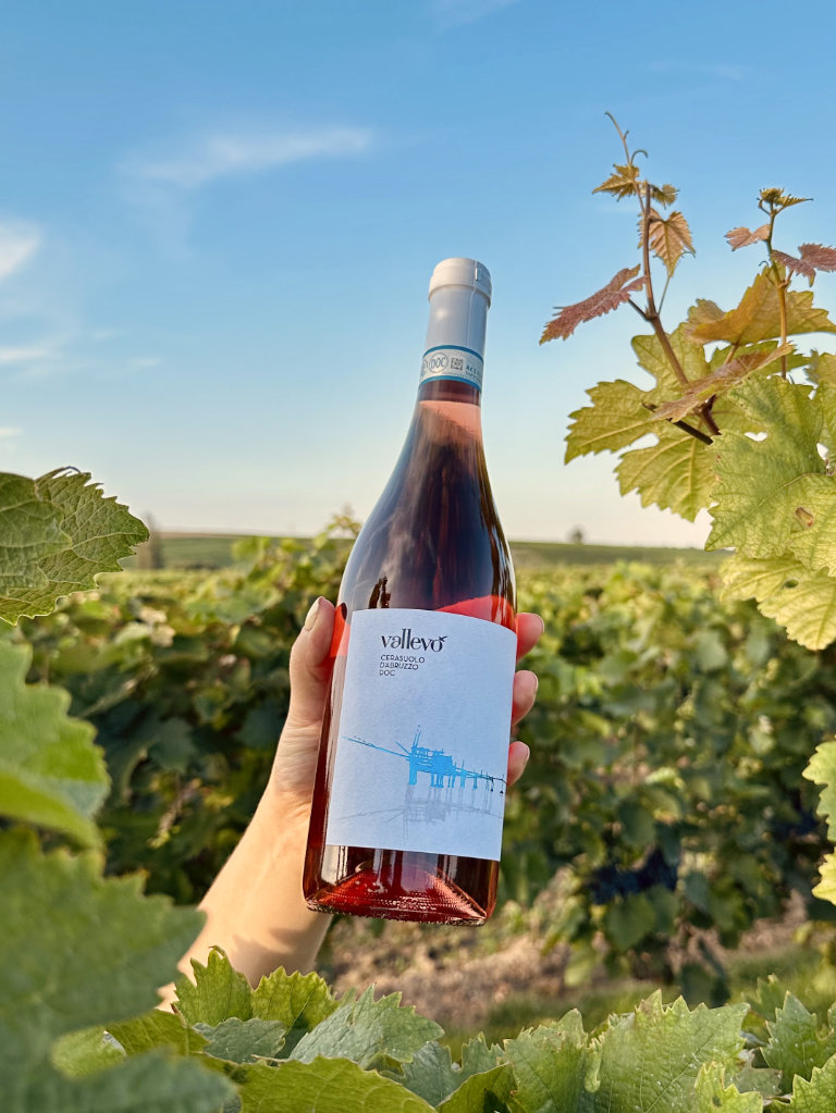 Vallevo Cerasuolo d'Abruzzo Rosé umgeben von Weinreben im Weinberg