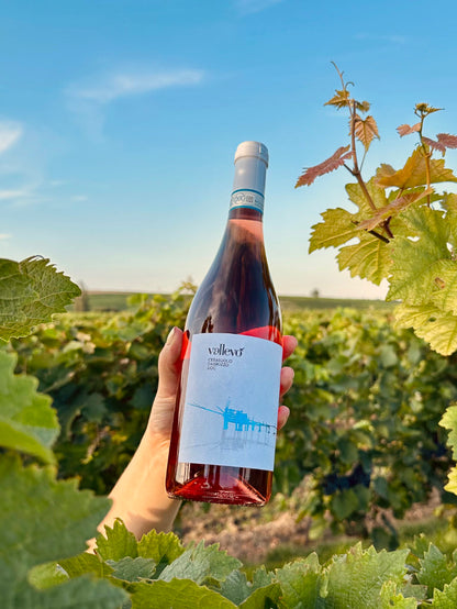 Vallevo Cerasuolo d'Abruzzo Rosé umgeben von Weinreben im Weinberg