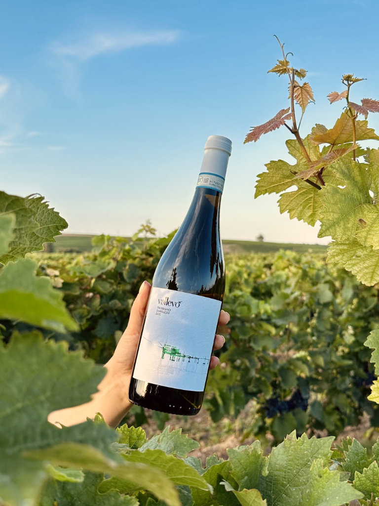 Vallevo Trebbiano d'Abruzzo Weißwein umgeben von Weinreben im Weinberg