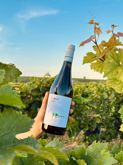 Vallevo Trebbiano d'Abruzzo Weißwein umgeben von Weinreben im Weinberg
